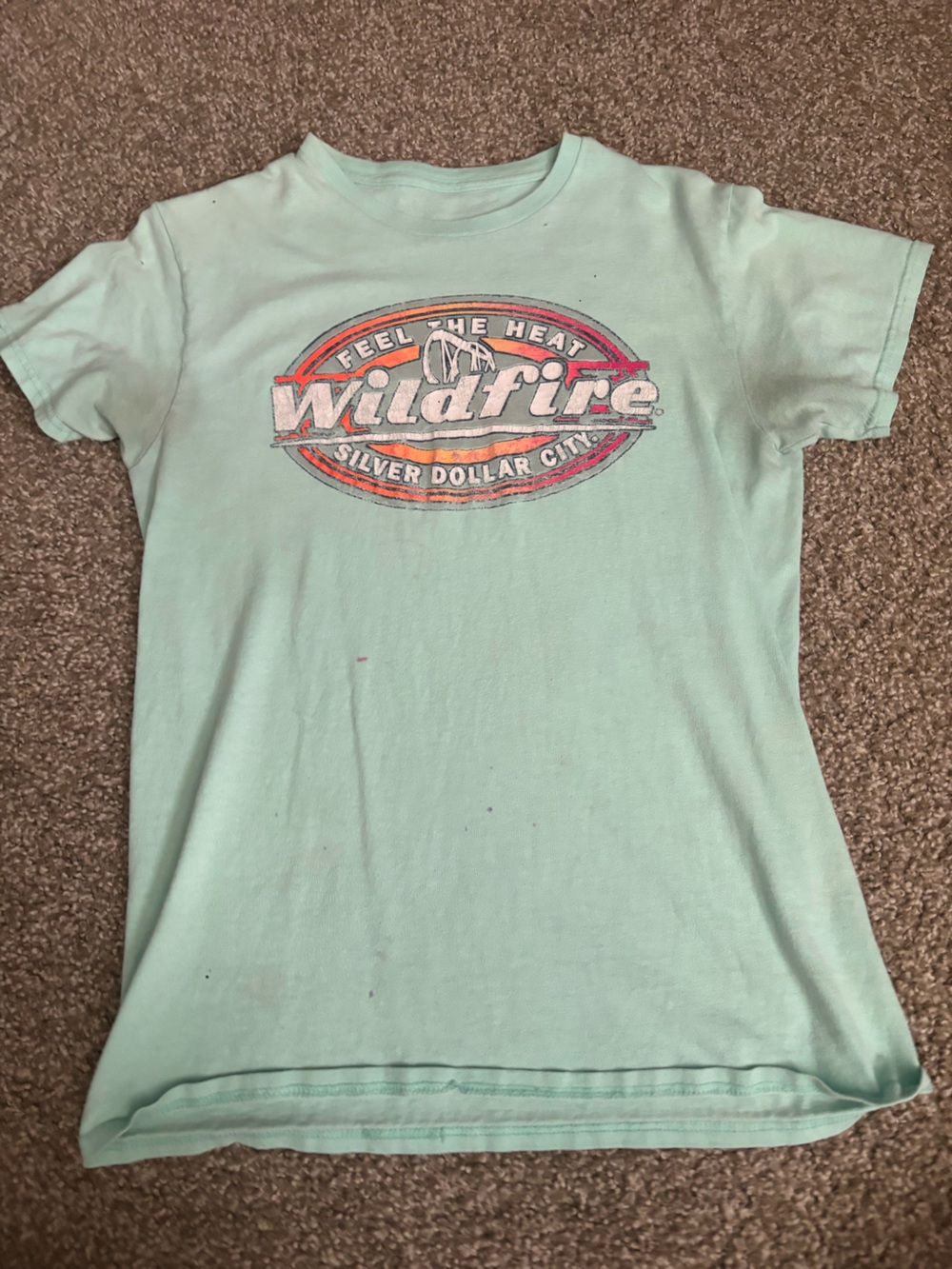 Green Wildfire Silver Dollar City Tshirt Size S